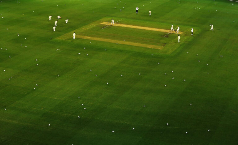 all cricket id, best cricket betting id, best cricket id, best cricket id provider, best cricket online id, best cricket satta id provider, best online cricket betting id, best online cricket betting id provider, best online cricket id, best online cricket id provider, betting id cricket, buy cricket id, buy cricket id online, buy id for cricket , cricket bet id, cricket betting demo id, cricket betting id, cricket betting id online, cricket betting id provider, cricket betting master id, cricket betting online id, cricket bookie id, cricket exchange online id, cricket id, cricket id demo, cricket id online, cricket id online provider, cricket id online registration, cricket id provider, cricket id providers, cricket id with bonus, cricket master id, cricket match online id, cricket new id, cricket online betting id, cricket satta id, cricket satta id provider, cricketbet9 id, demo id cricket, get cricket id, get cricket id online, get id for cricket , get online cricket id, id cricket betting, live online cricket id provider, new betting id, new cricket id, online cricket bet id, online cricket betting id, online cricket betting id provider, online cricket id, online cricket id contact number, online cricket id login, online cricket id provider, online cricket id provider in india, online cricket id whatsapp number, online cricket satta id, online cricket satta id provider, online id cricket, online id cricket betting, online id for cricket betting, onlinecricketid, trusted online cricket id provider,